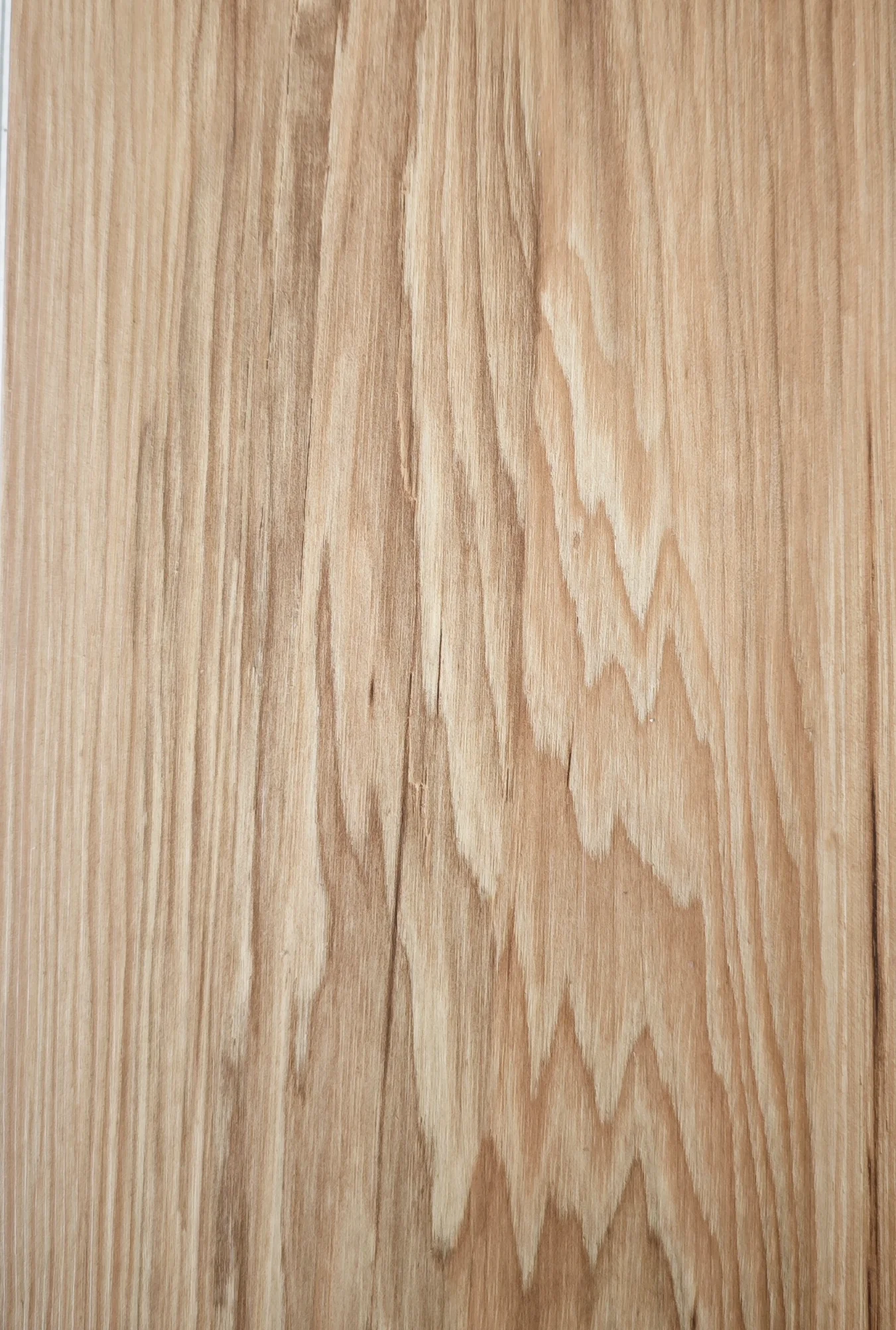 SPC POD HICKORY KL 34 5264 KL34 CROP SPC PODNA OBLOGA HICKORY KL 34 5264 KL34 CROP