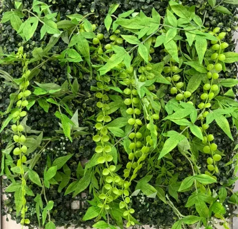 zeleni zid vestacko zelenilo domis 50 x 50 HHW50-63