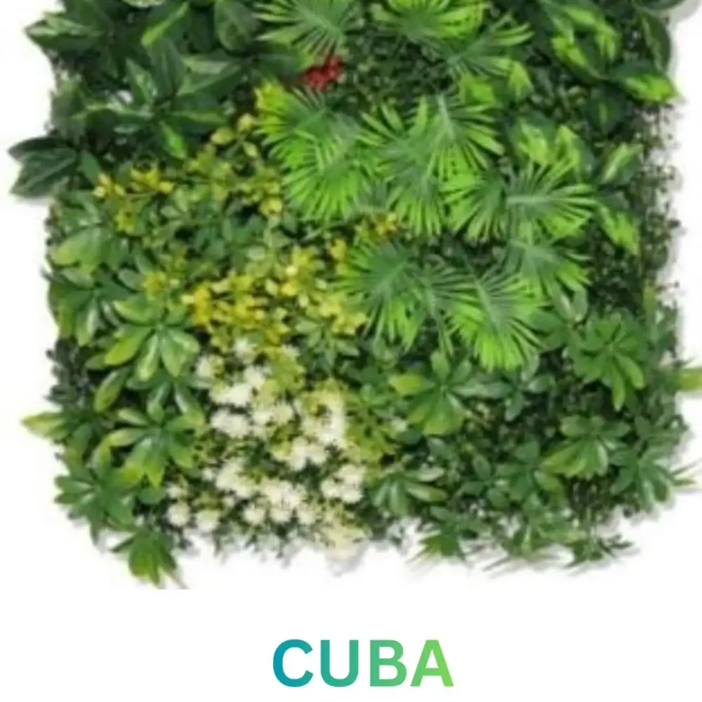 Zeleni Zid Cuba 50x50 UV