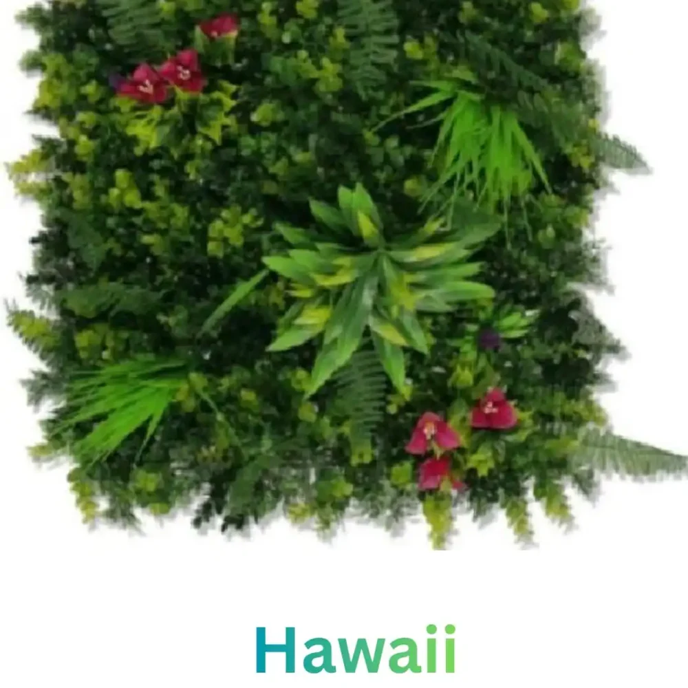 Zeleni Zid Hawaii 50x50 UV