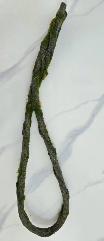 DEKORATIVNO ZELENILO GRANA 3